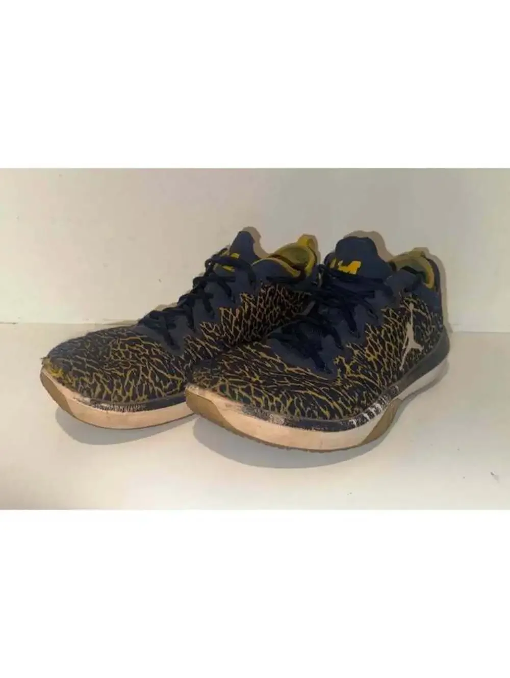 Michigan Wolverines Team Issued Jordan Trainers Elephant Print Size 12